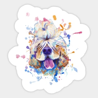 Cocker Spaniel portrait Sticker